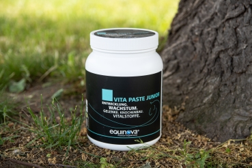 Preview: equinova® Vita Paste Junior 1,5kg